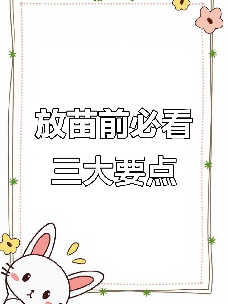 鮰鱼放苗技巧大揭秘,成活率提升的关键步骤