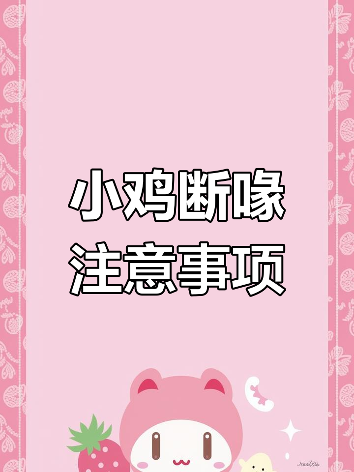 小鸡断喙技巧大揭秘,如何避免流血和感染