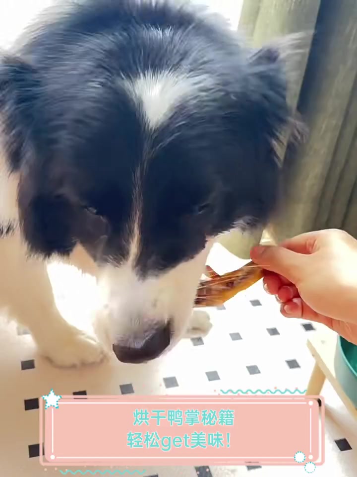 烘干鸭掌秘籍,轻松get美味!