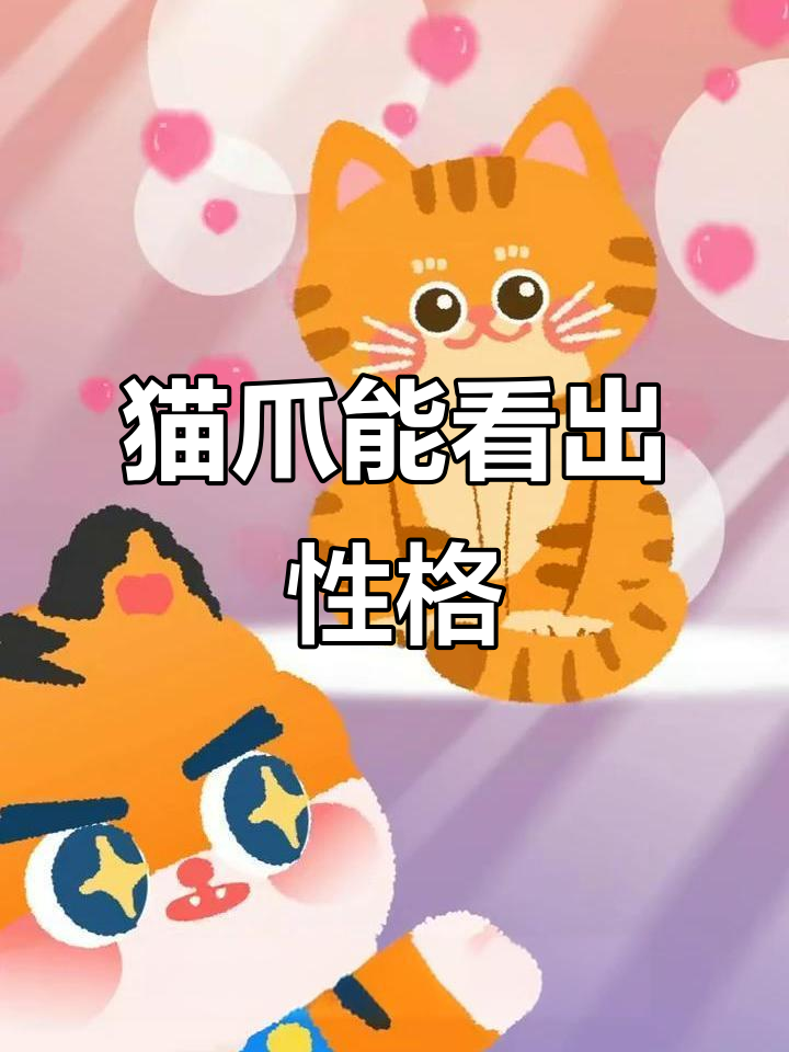 猫咪肉垫性格大揭秘,你是哪种喵?