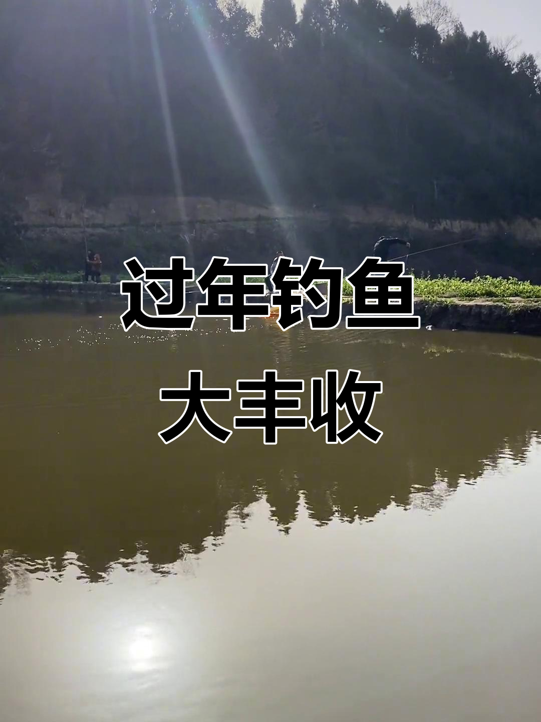 2023过年钓鱼必备!盐亭钓鲫鱼草鱼母猪壳