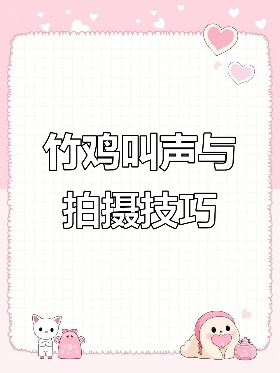 竹鸡叫声大赏,春节拍摄技巧全揭秘