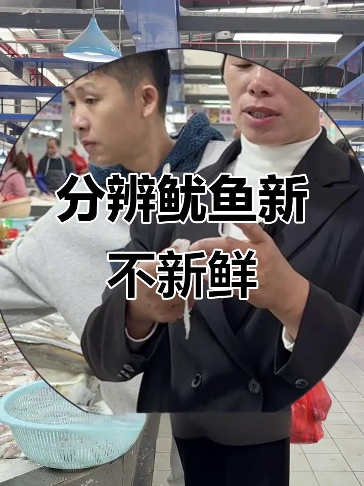 如何辨别鱿鱼新鲜与否?掌握这些技巧轻松挑选