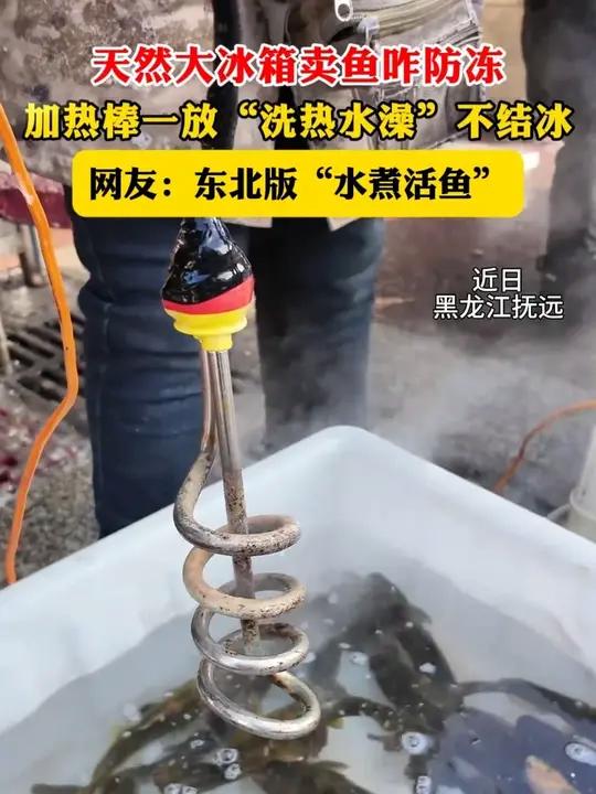 天然大冰箱卖鱼咋防冻?加热棒一放“洗热水澡”不结冰。网友:东北版“水煮活鱼”