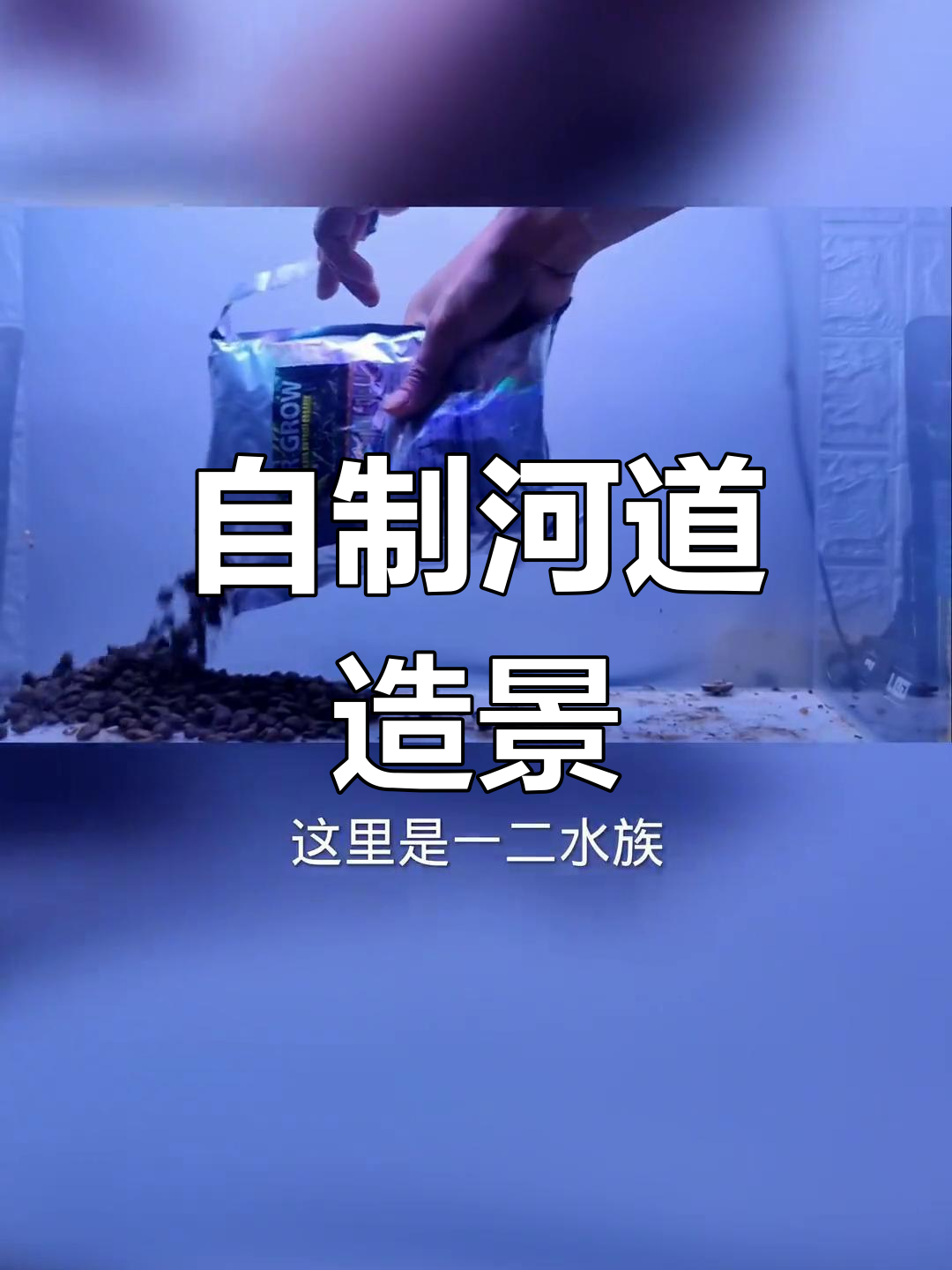 捡来的石头和水草打造美丽鱼缸景观