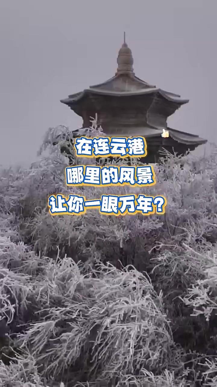 “连云港十大心动打卡点”征集评选推广活动启动!#征集活动#打卡点