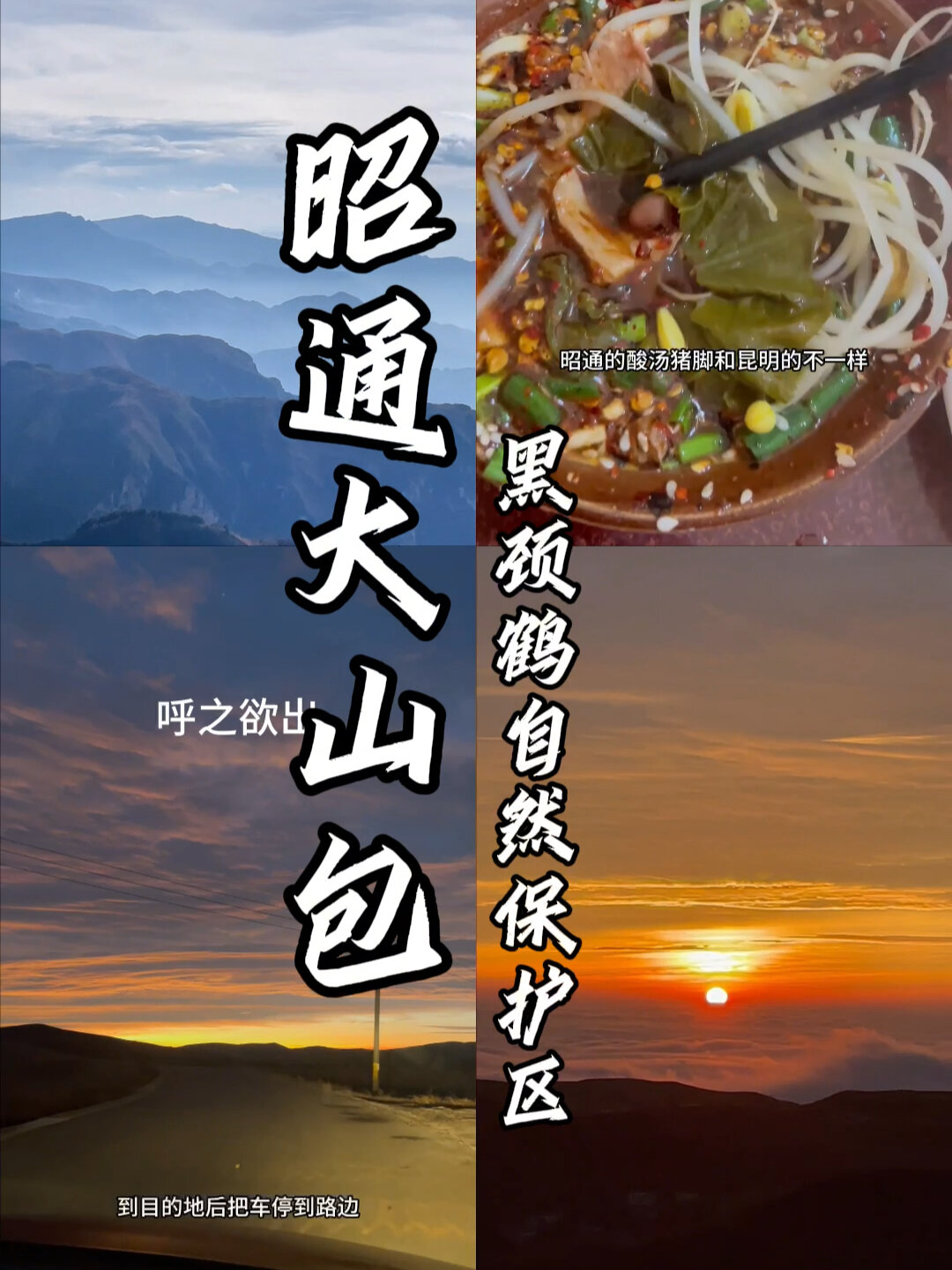 昭通大山包黑颈鹤自然保护区