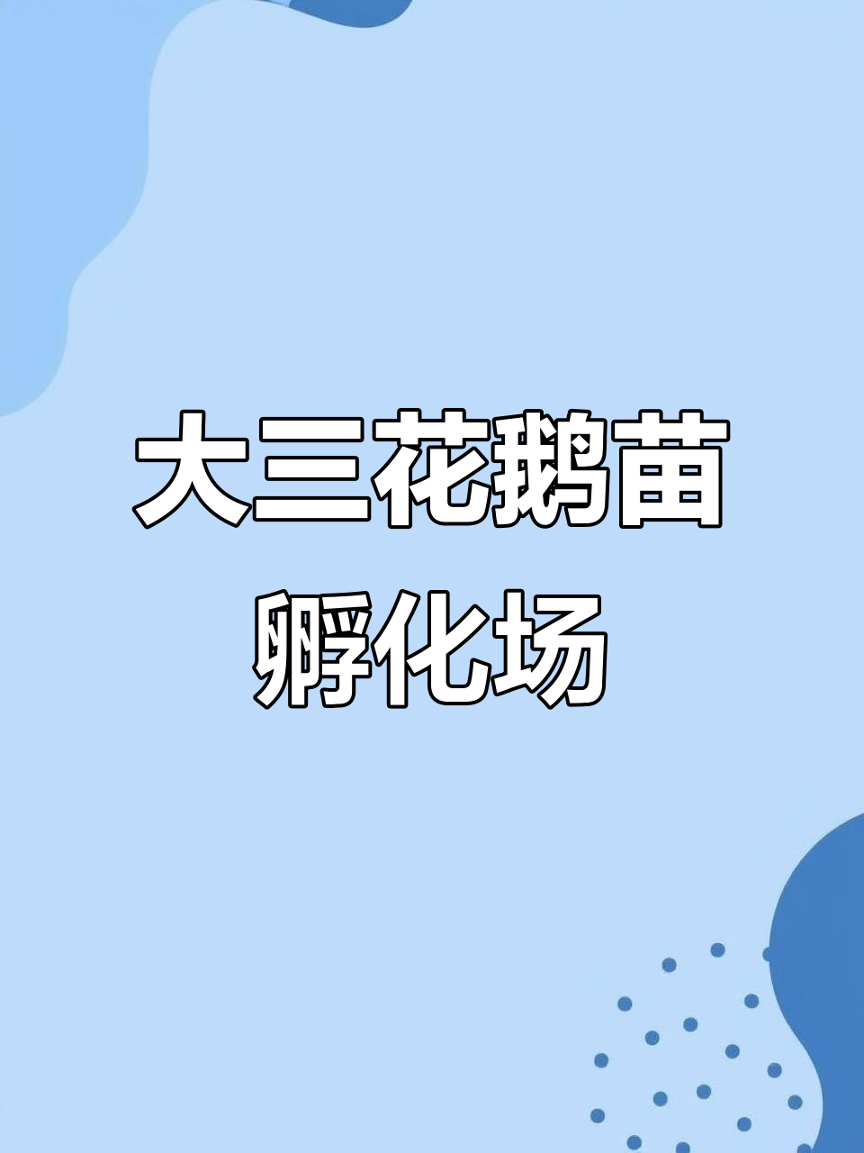 双辽市大三花鹅苗孵化基地,农村养殖新机遇