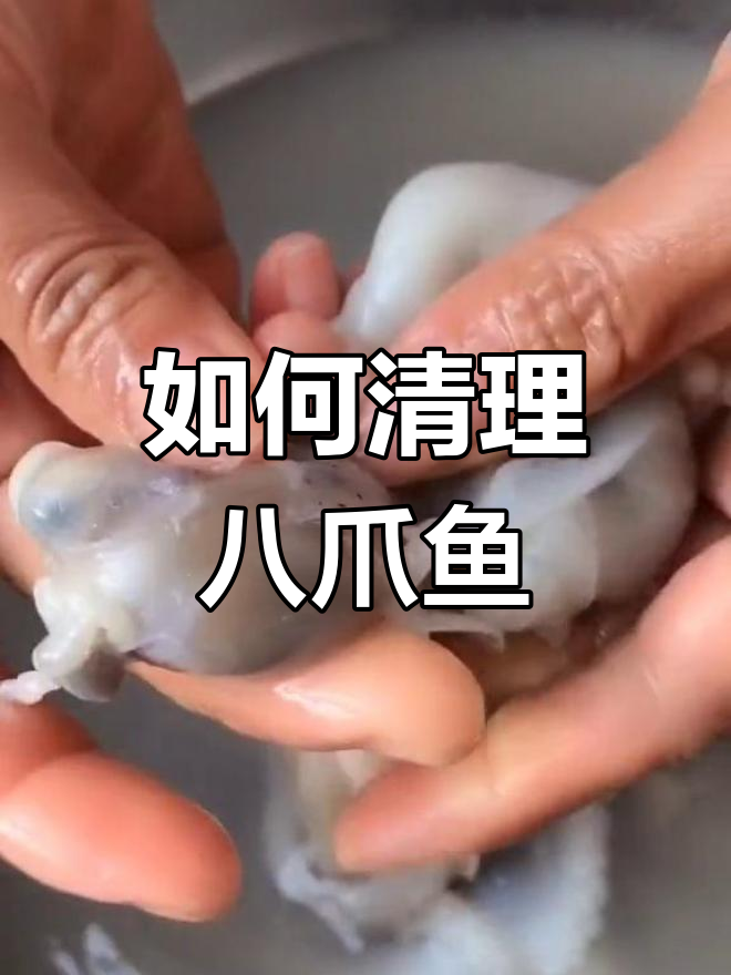 八爪鱼清洗全攻略,轻松搞定