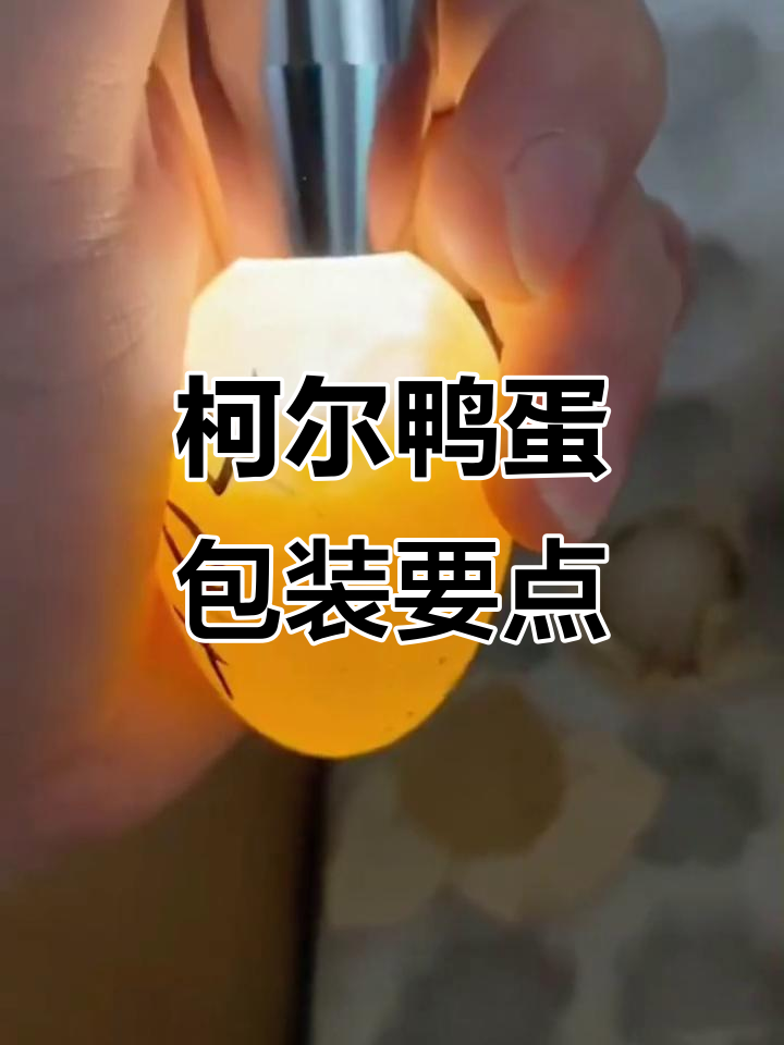 柯尔鸭蛋的运输与存放技巧,如何提高孵化率