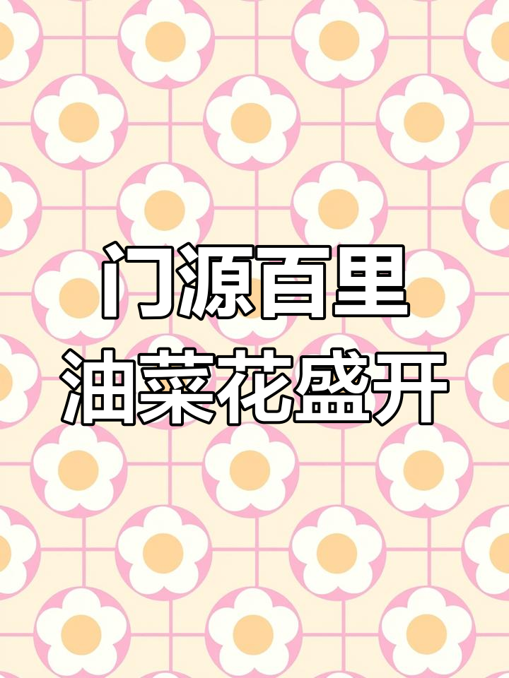 青海门源油菜花海,金黄美景尽收眼底