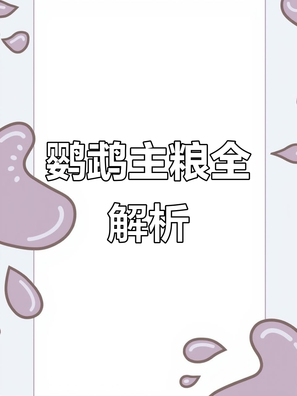 小太阳和和尚鹦鹉的主粮选择,营养丰富,健康又美味