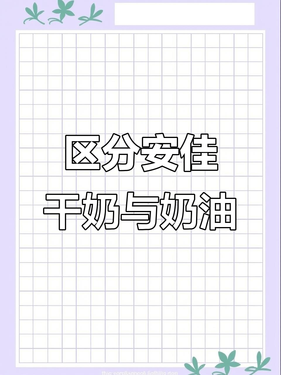 安佳奶酪怎么选?干酪和奶油奶酪区别大揭秘