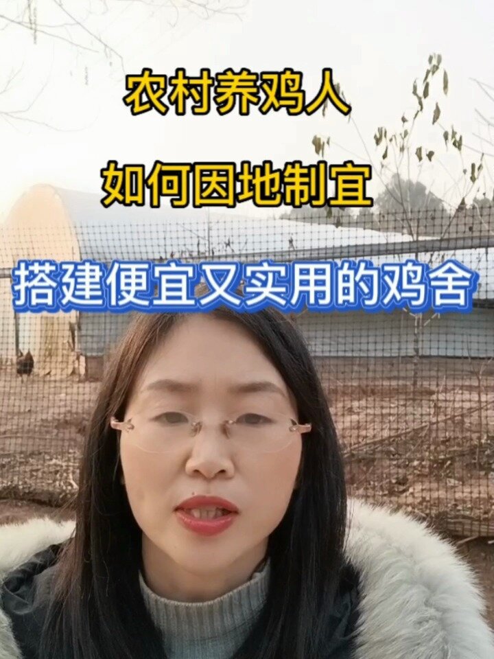 今天教你搭建便宜又实用的鸡舍你学会了吗 科学养鸡技术 知识