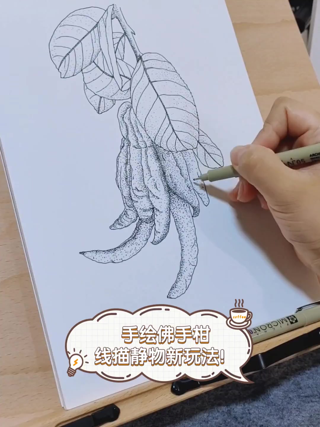 手绘佛手柑,线描静物新玩法!