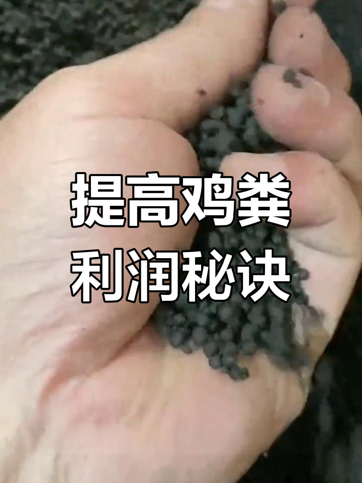 鸡粪变颗粒肥,利润翻倍!设备与工艺全解析