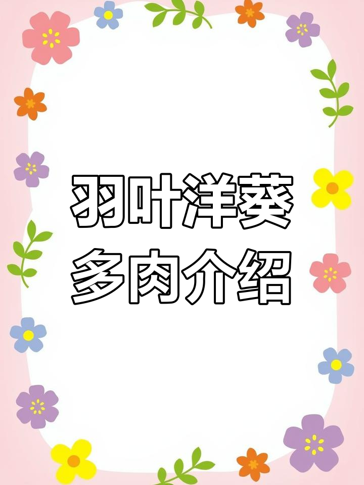 雨叶阳葵:神奇的多肉植物,了解它的生长与养护技巧