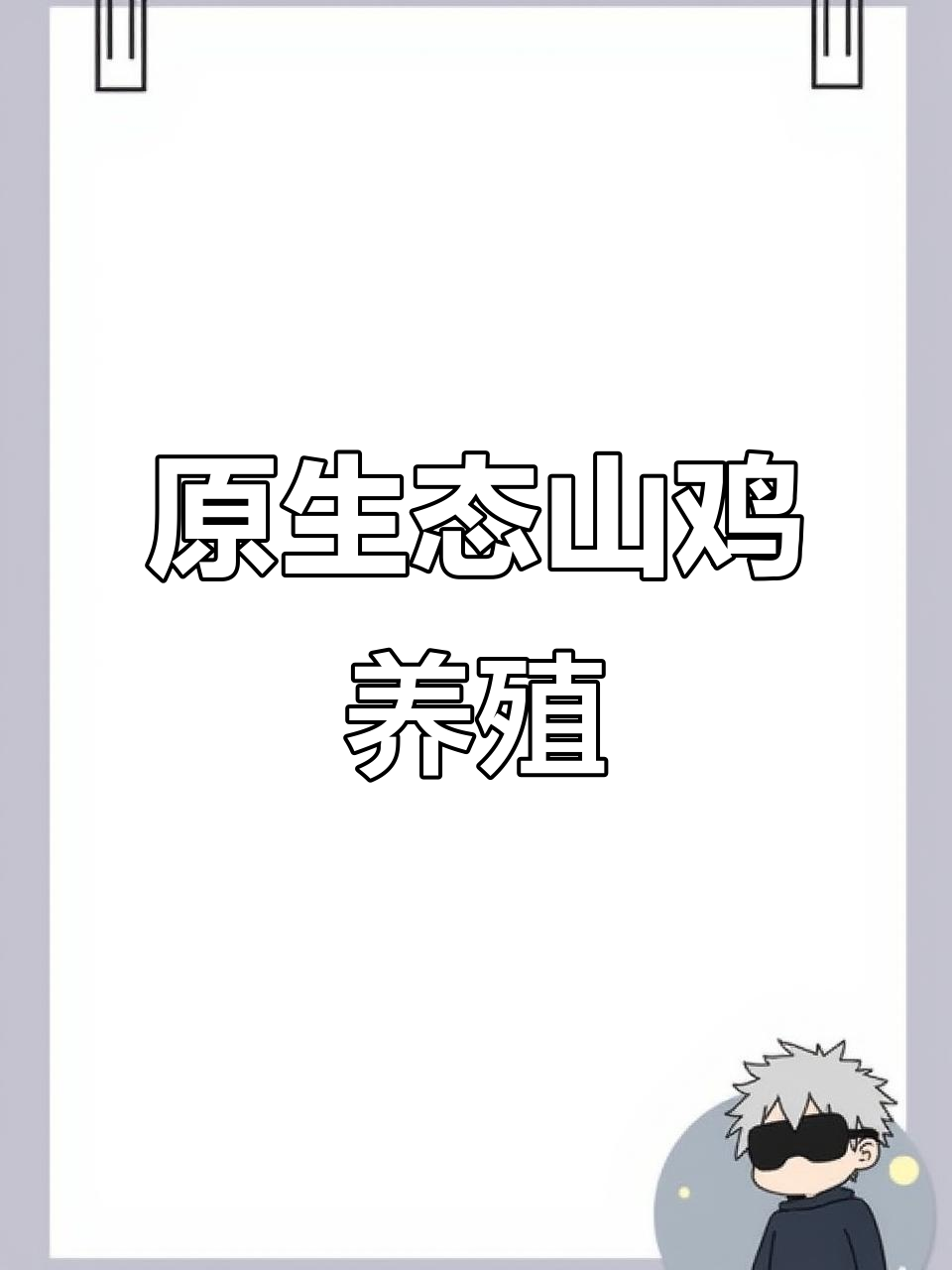 农家放养山鸡,原生态养殖的独特风味