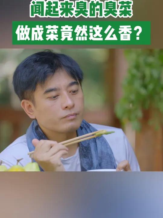 西双版纳有一种野菜叫羽叶金合欢,当地人叫它“臭菜”,闻起来一股大蒜味的它做成臭菜炒鸡蛋却超