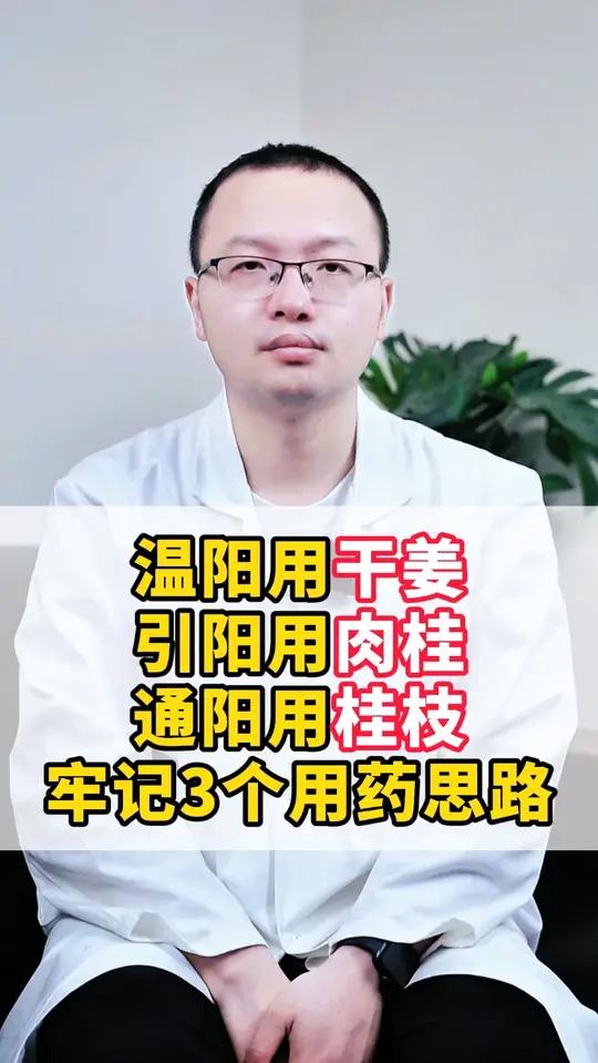 温阳用干姜 引阳用肉桂 通阳用桂枝 牢记3个用药思路
