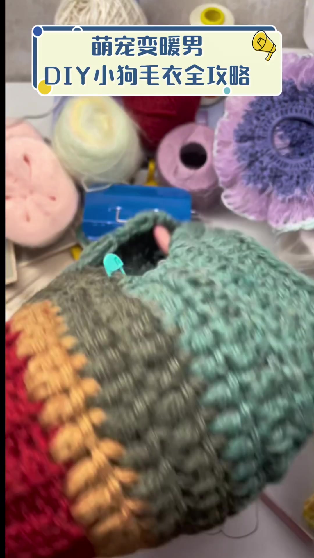 萌宠变暖男,DIY小狗毛衣全攻略