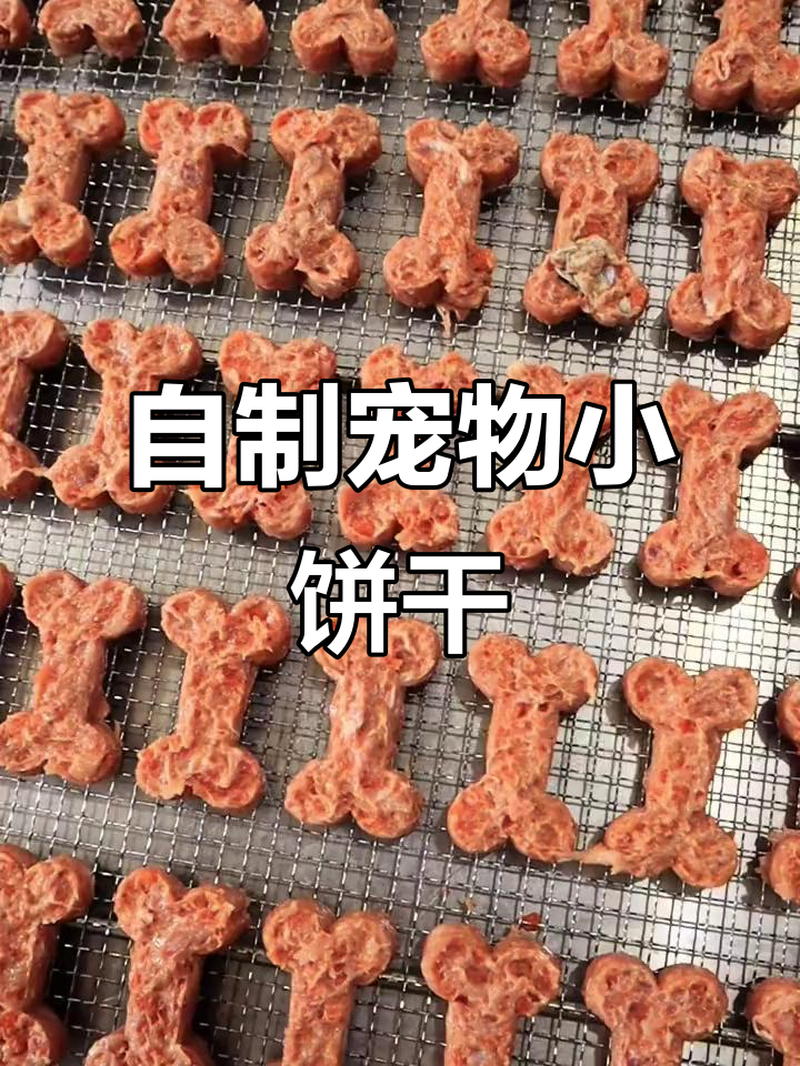 宠物小饼干DIY,简单又营养的四种食材搭配