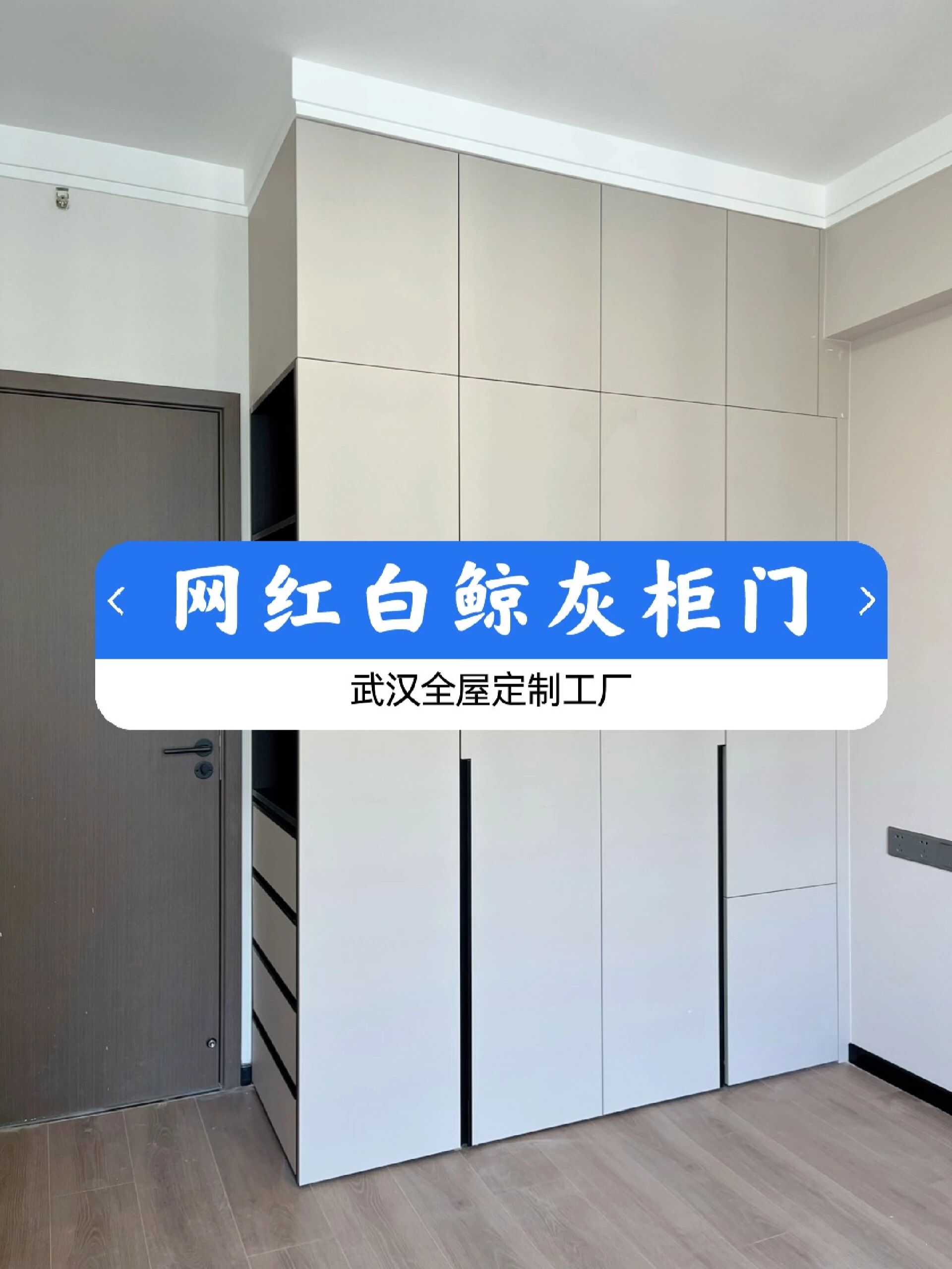 热度很高的白鲸灰!