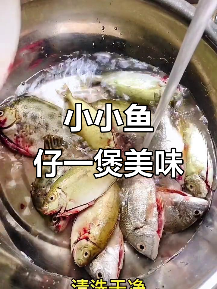 一煲搞定,鱼仔汤与肉同享