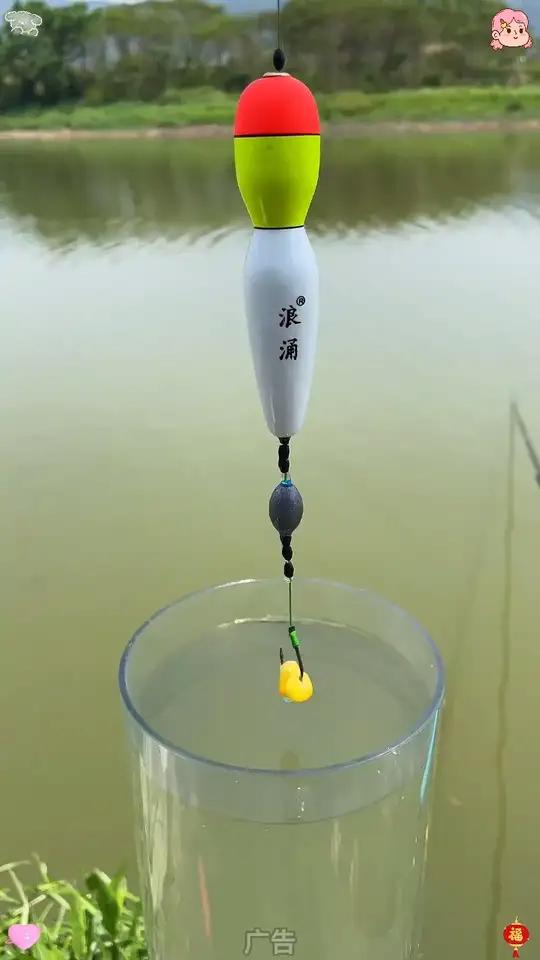 浮钓草鱼新型线组,水里有草鱼来一条钓一条