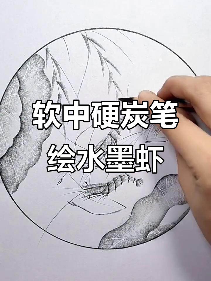 用软硬炭笔轻松画水墨虾,简单几笔画出水墨效果