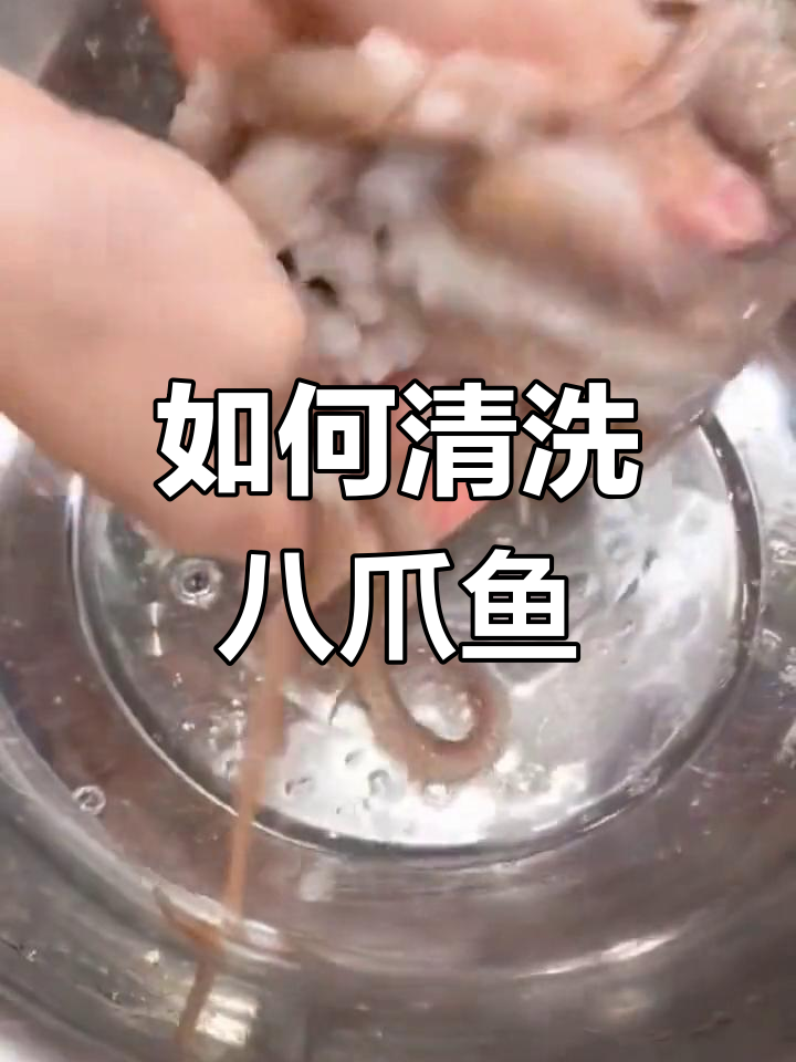 八爪鱼清理全攻略,轻松去粘液和牙齿