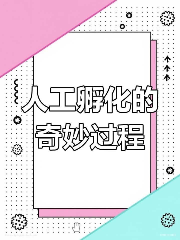 捡到鸭蛋,孵化惊喜
