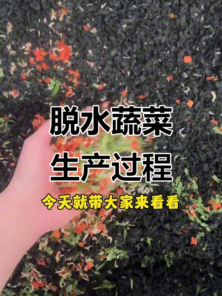 蔬菜干制作揭秘:清洗、切割到烘干的完整流程