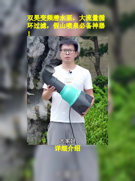 双昊变频潜水泵,大流量循环过滤,假山喷泉必备神器!
