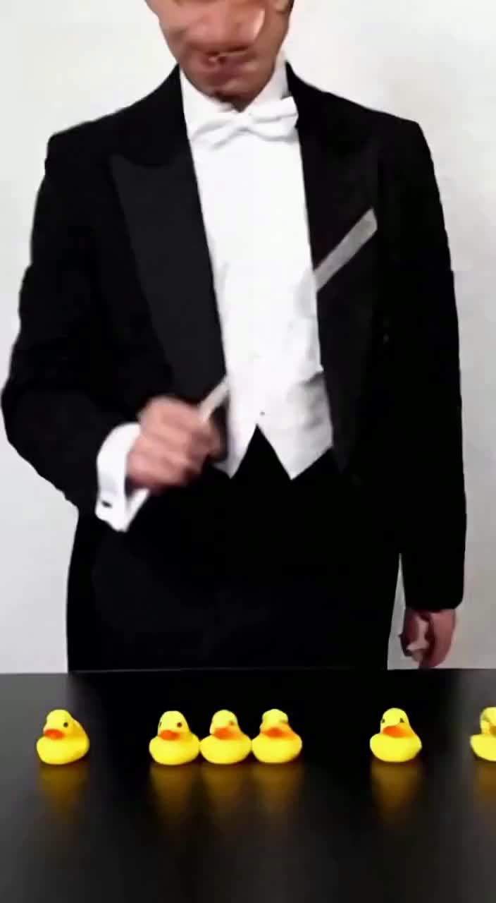 燕尾服指挥家,竟为小黄鸭执棒?