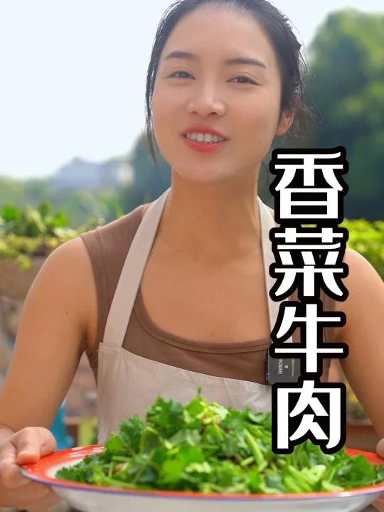 为什么都要看自贡人做的香菜牛肉