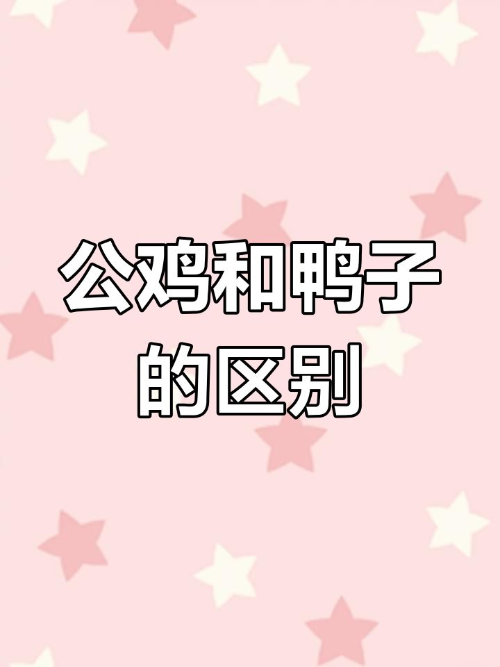 小朋友眼中的公鸡与鸭子,差别竟然这么大!