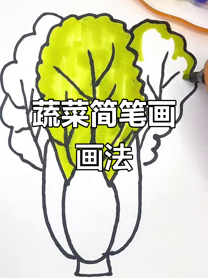 蔬菜简笔画教学，轻松画出可爱小菜园