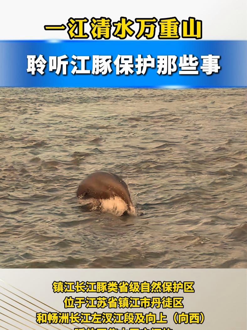 一江清水万重山|聆听江豚保护那些事(素材来源:镇江长江豚类省级自然保护区管理处)