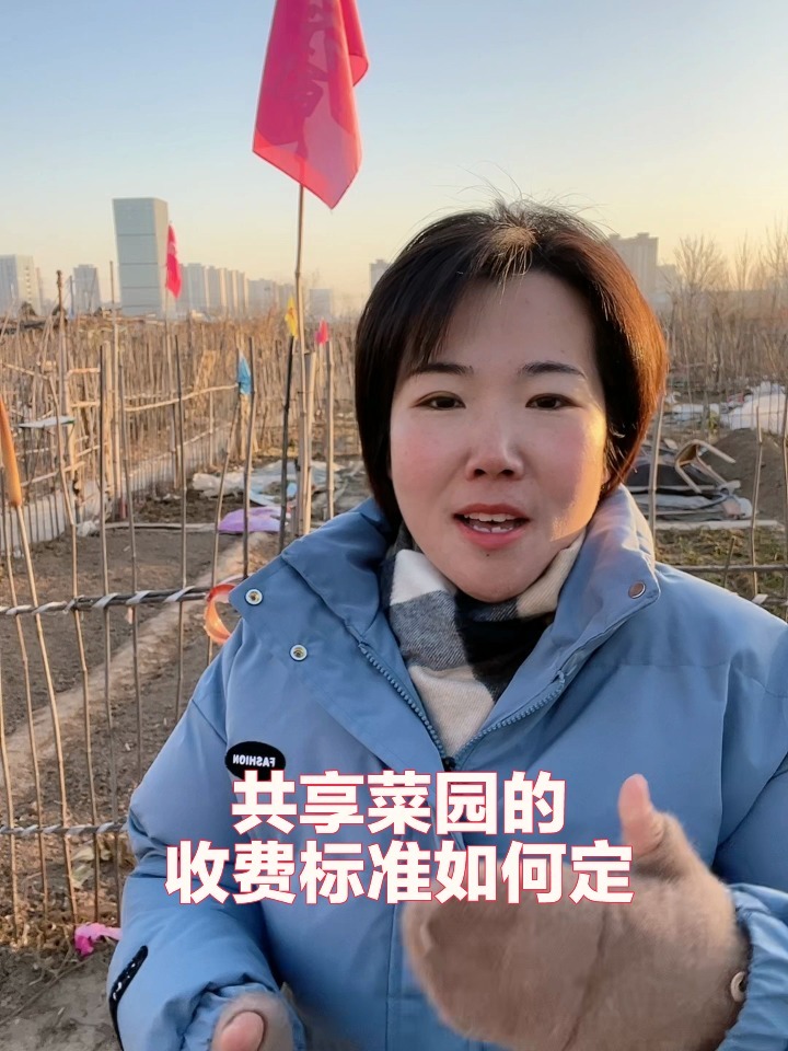 共享菜园的收费标准如何定