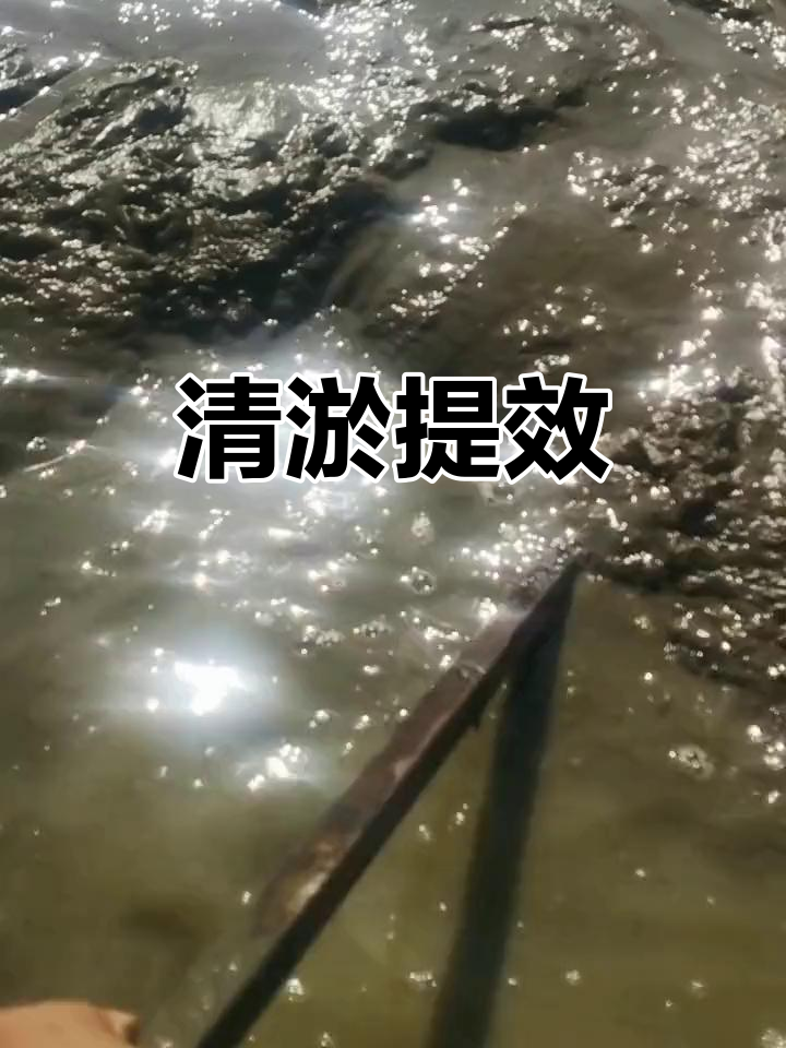鱼塘清淤，强力吸泥60公分厚，效率提升显著！