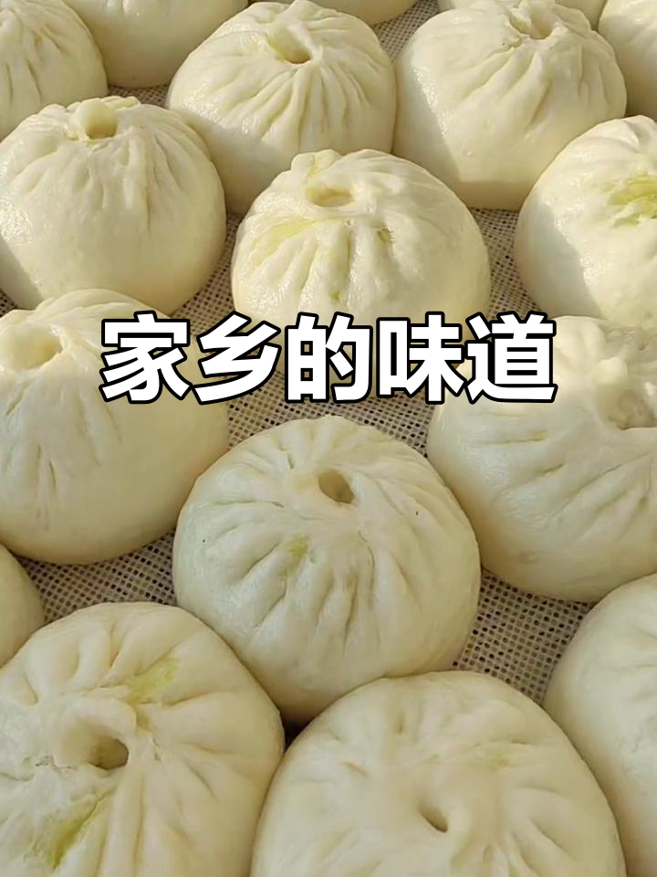 盐城马齿菜包子,手工制作,纯正家乡味,咬下去满满回忆