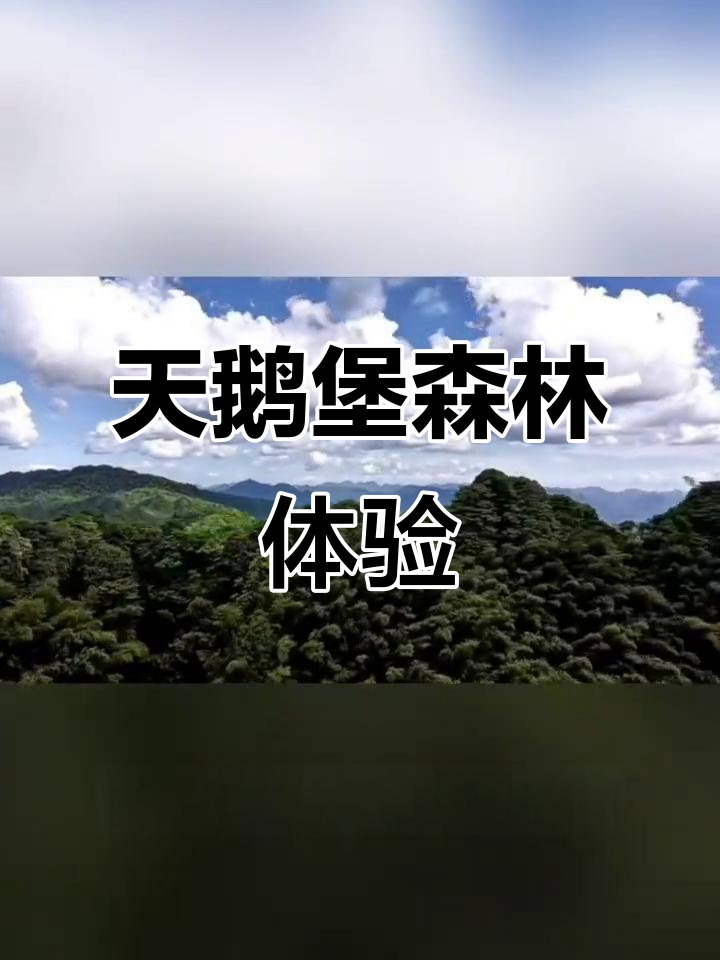 贵州天鹅堡森林公园:神秘德国城堡与自然氧吧的完美融合