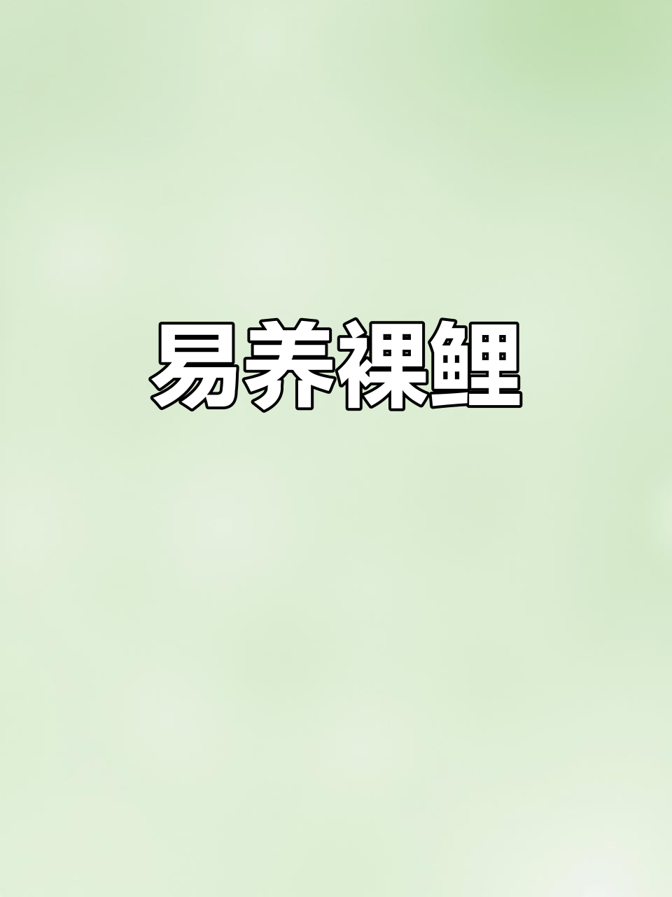 裸鲤易养,饲料杂粮都能吃,生长迅速,成活率高
