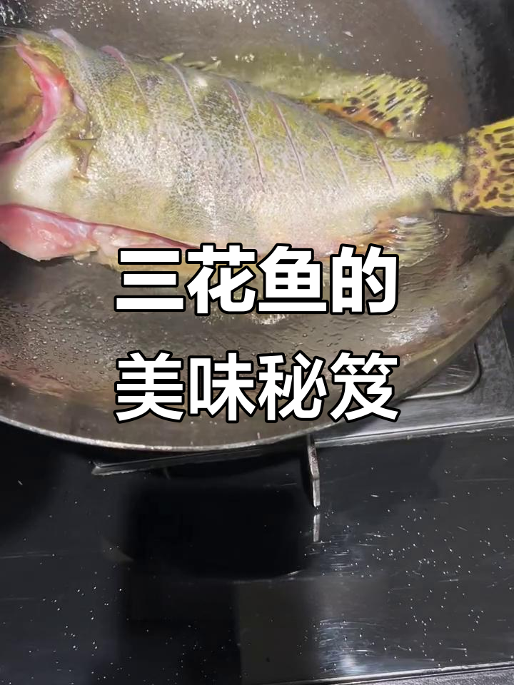 三花鱼与鳊鱼的完美搭配,酱焖熬制,香气扑鼻!