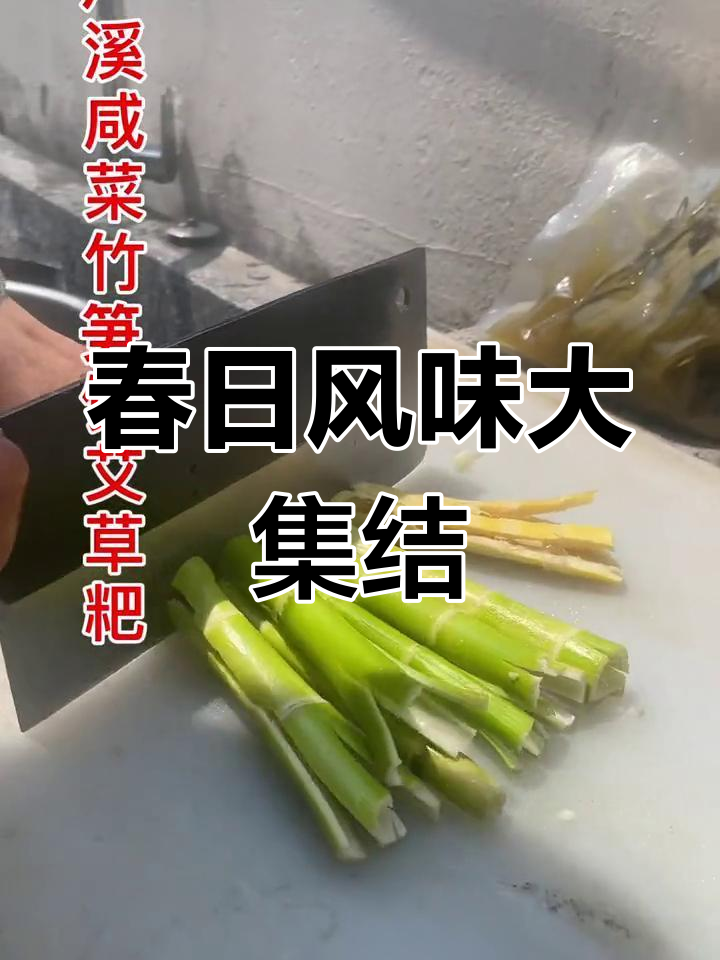 春季限定美味,芦溪咸菜与竹笋艾草的完美搭配
