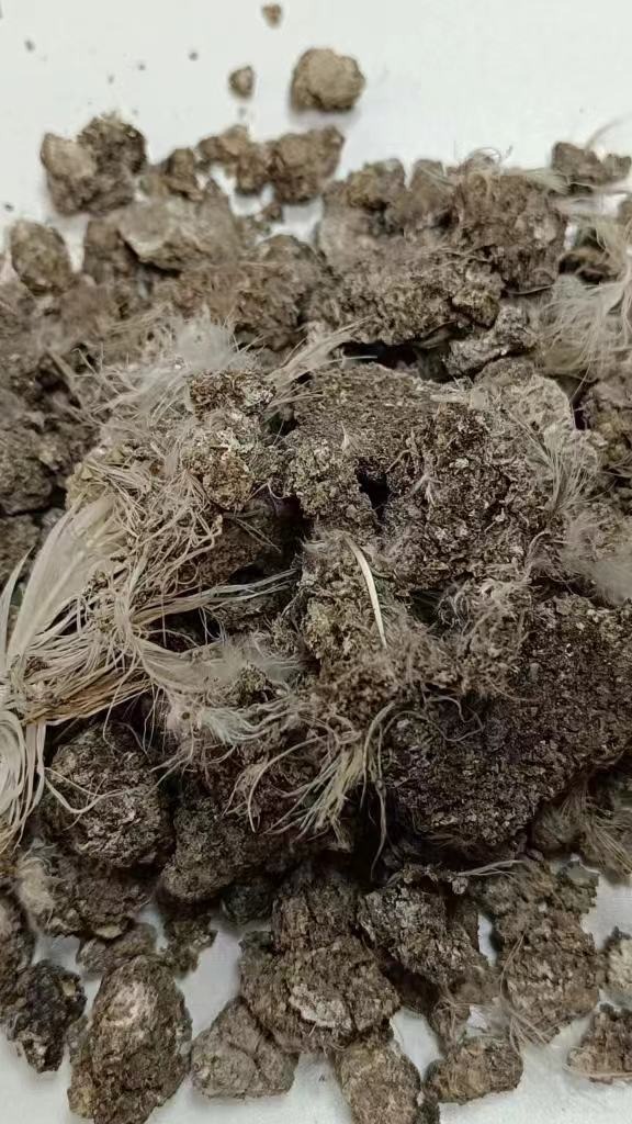 种植辣椒用干鸡粪做底肥好不好