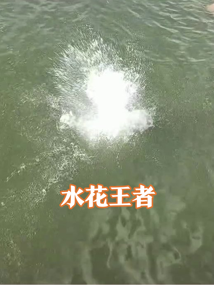 肌肉猛男自信跳水,水花大到能炸鱼,围观大爷表情亮了