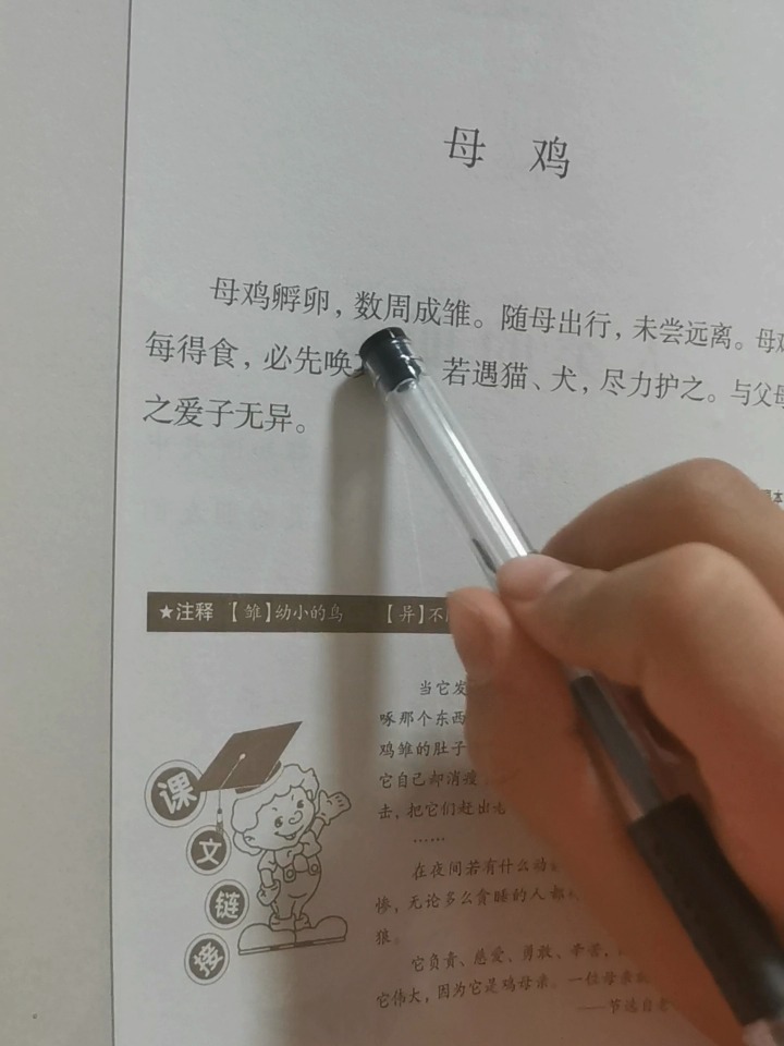 小古文:第四十一课母鸡
