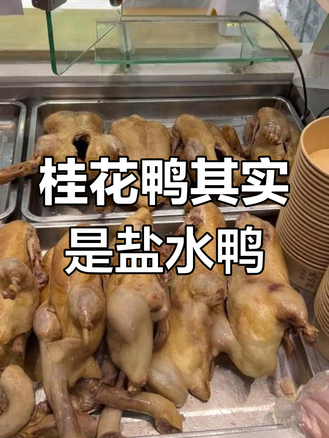 桂花鸭与盐水鸭的差异揭秘